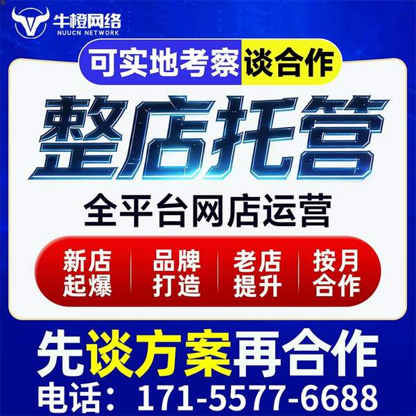 佛山电商代运营