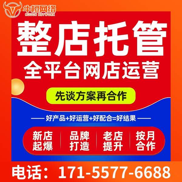 佛山电商代运营