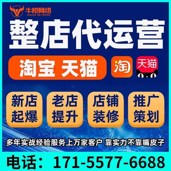 佛山电商代运营